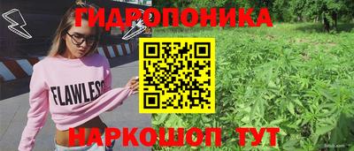 PSILOCYBIN Изобильный